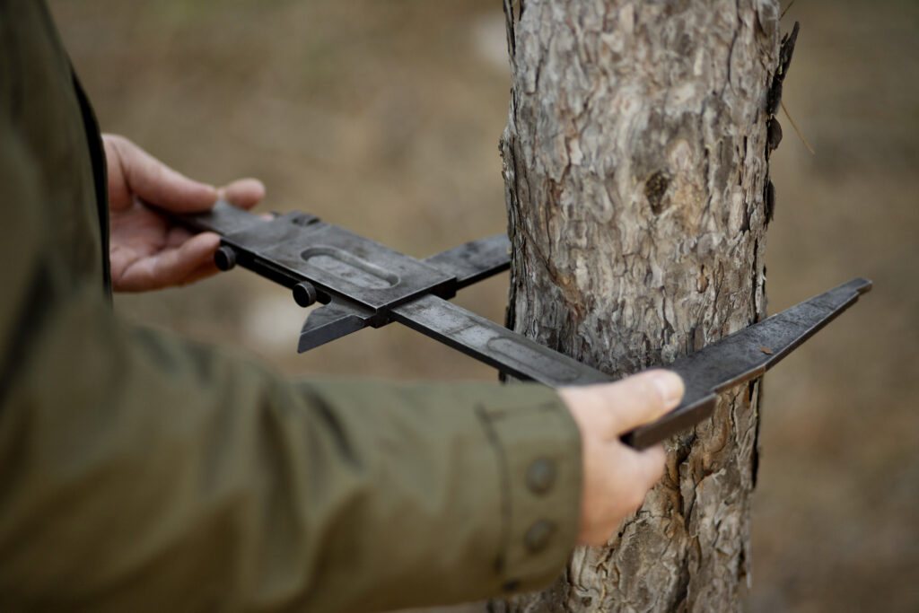 close-up-park-ranger-woods